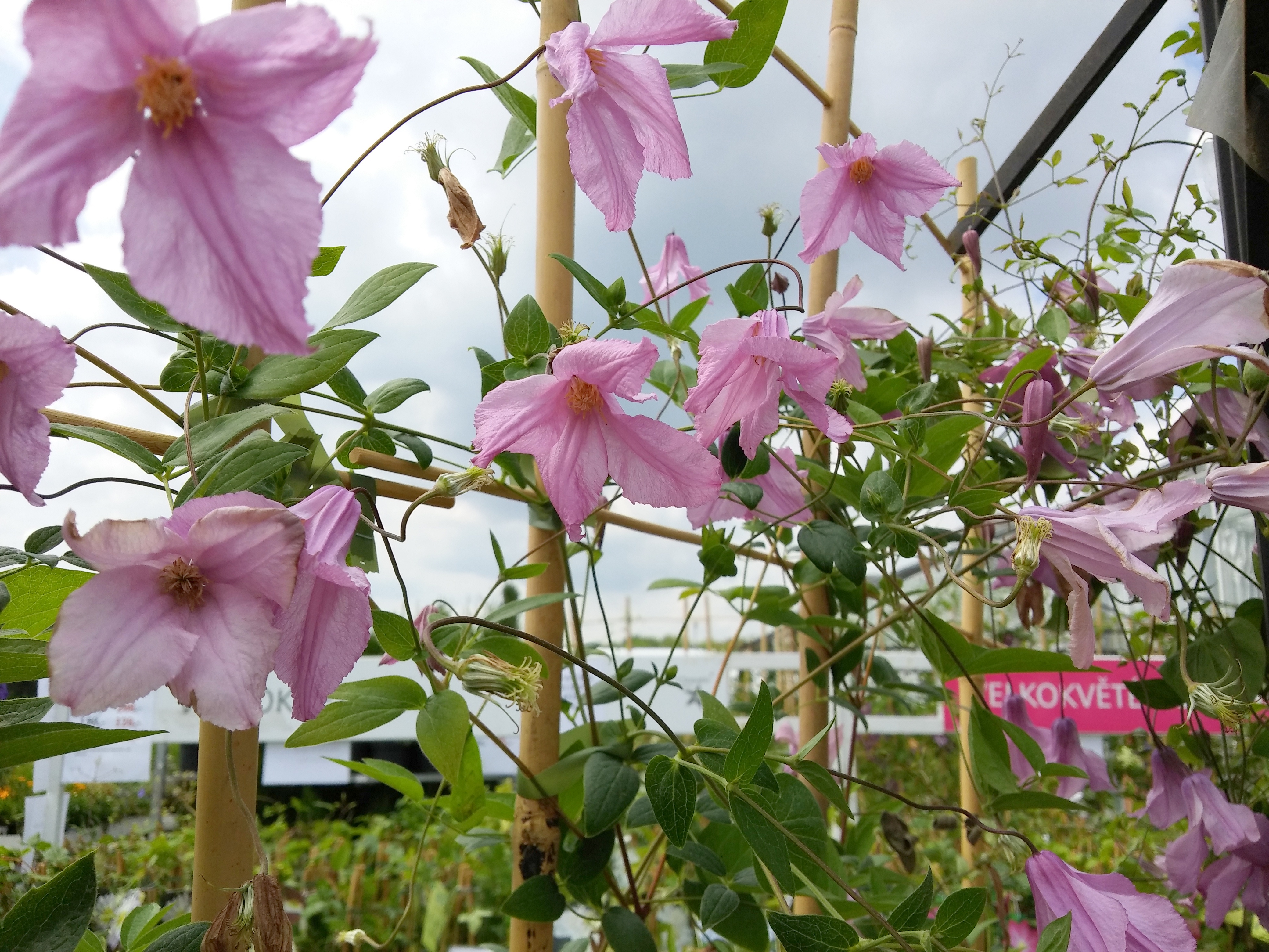 20160713_1357301-001