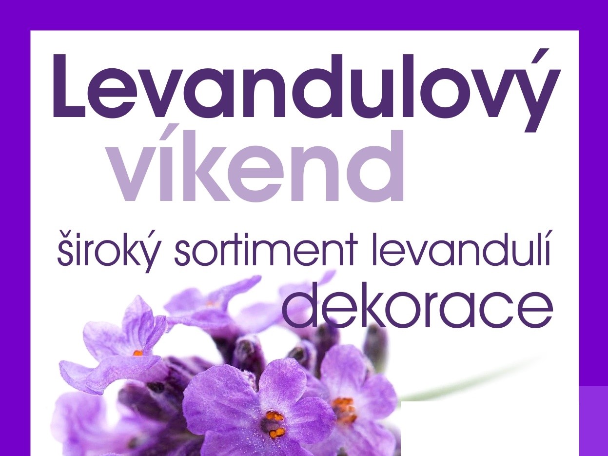 levandulovy-vikend3